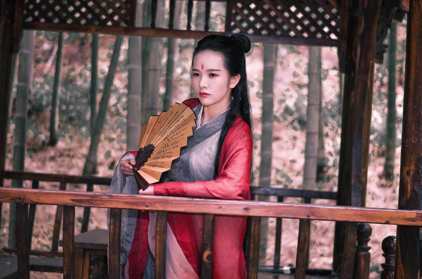 《汉服第341期》汉服 红颜