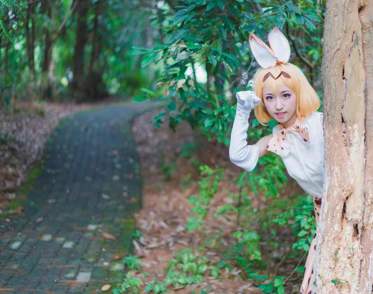 《C站·第3150期》兽娘动物园薮猫