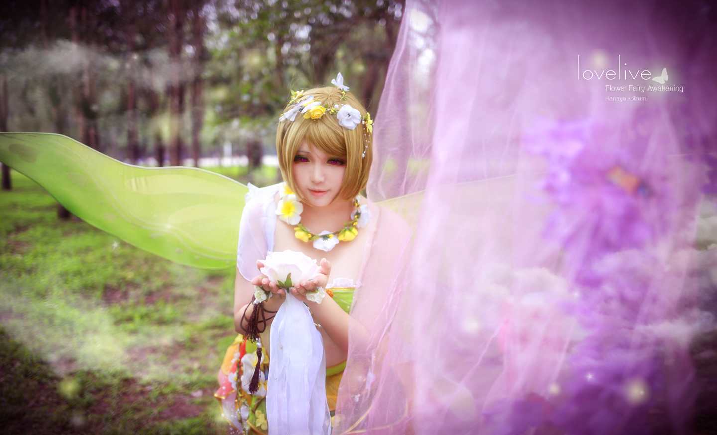 《C站·lolita·第877期》Love Live 花阳花妖精