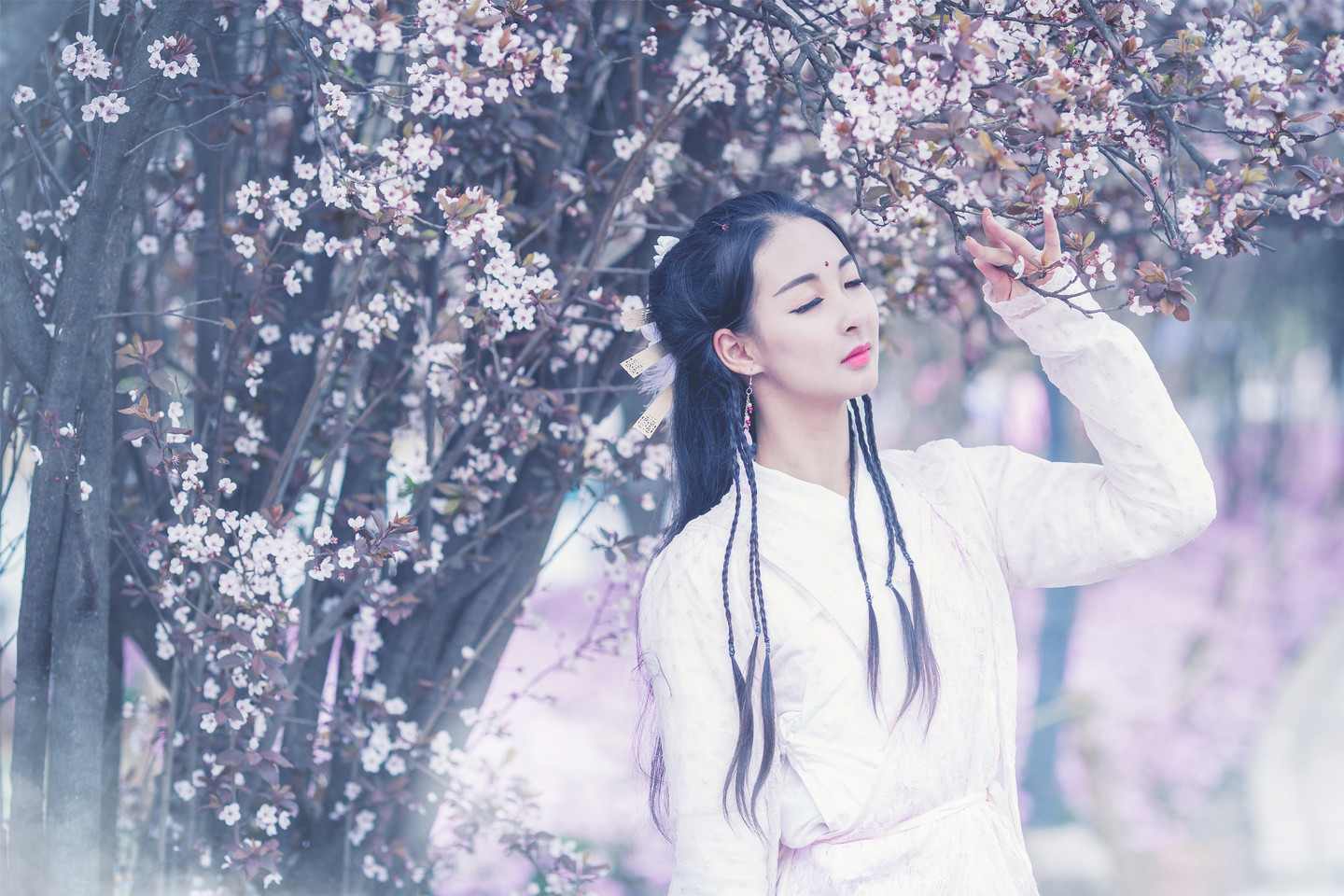 《汉服第822期》倚天屠龙记 芷若