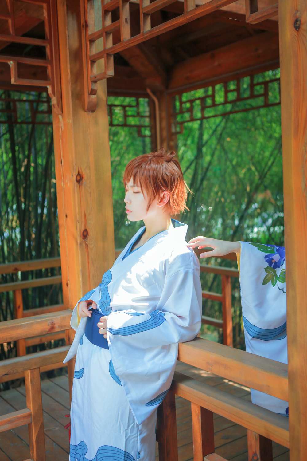 《C站·第3269期》翼年代记樱狼