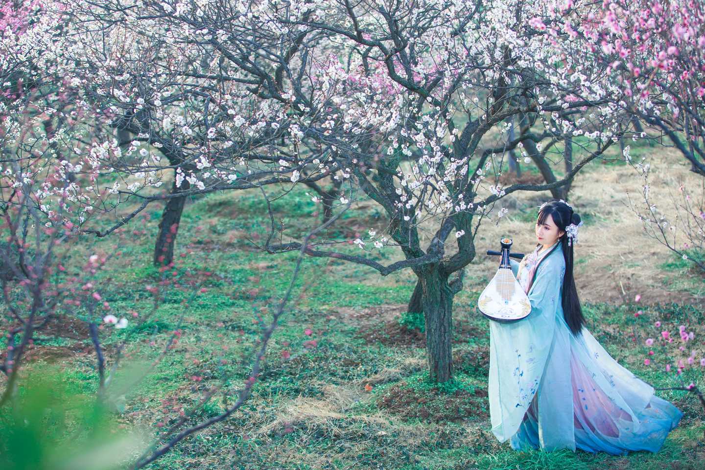 《汉服第344期》汉服 梅花泪