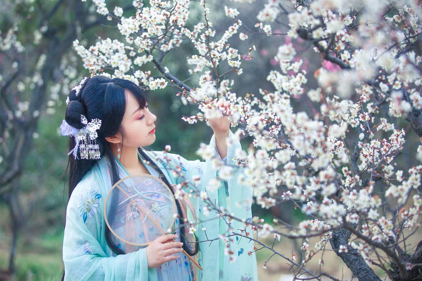 《汉服第344期》汉服 梅花泪