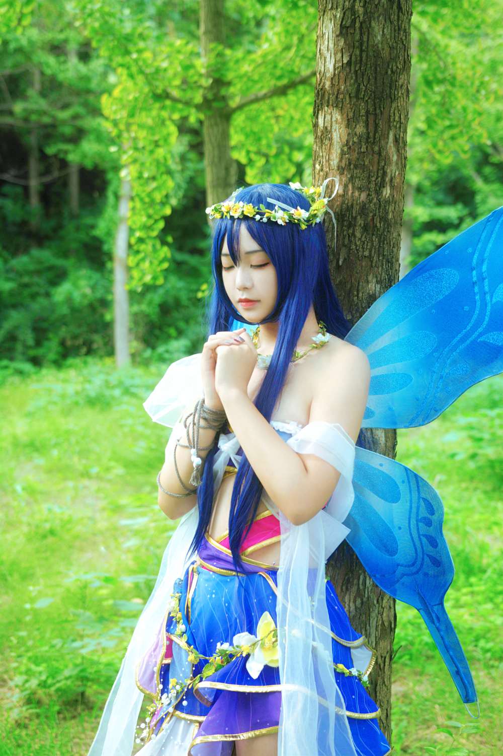 《C站·lolita·第584期》lovelive! 花妖觉醒蝴蝶仙子满天飞