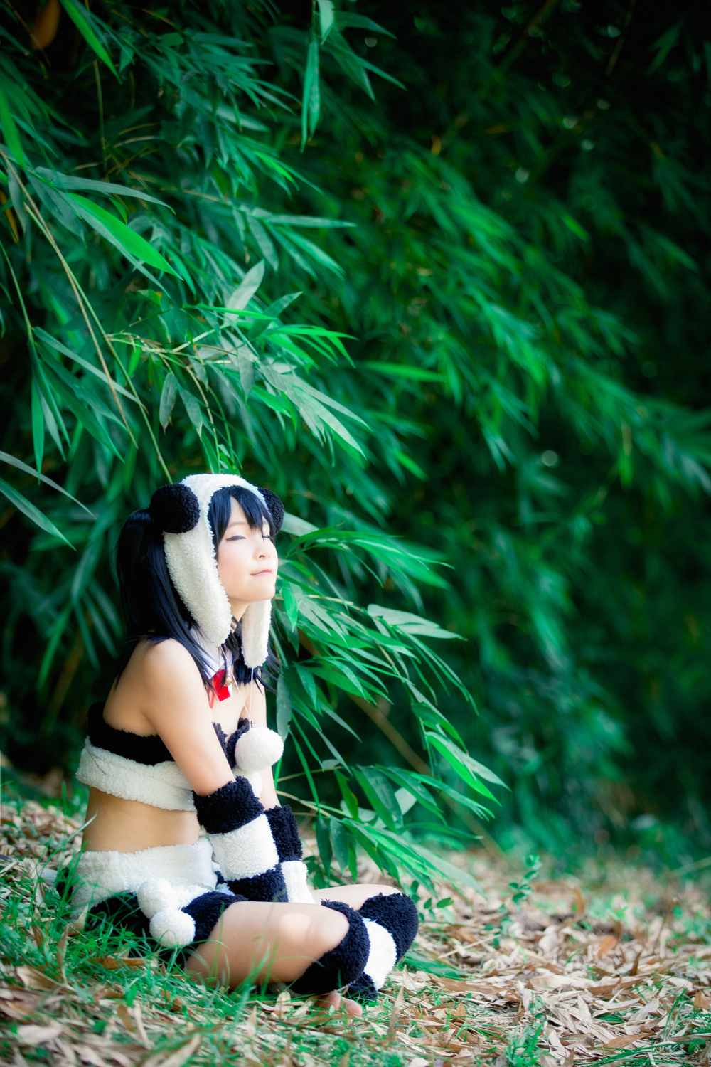 《C站·第3258期》一只野生的熊猫