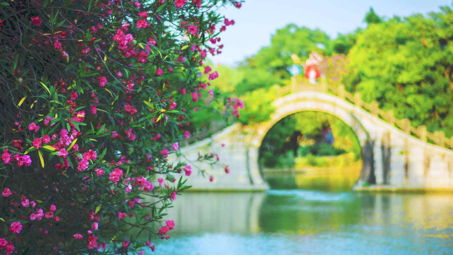 《C站·第3148期》守望着天空大海和你的回忆