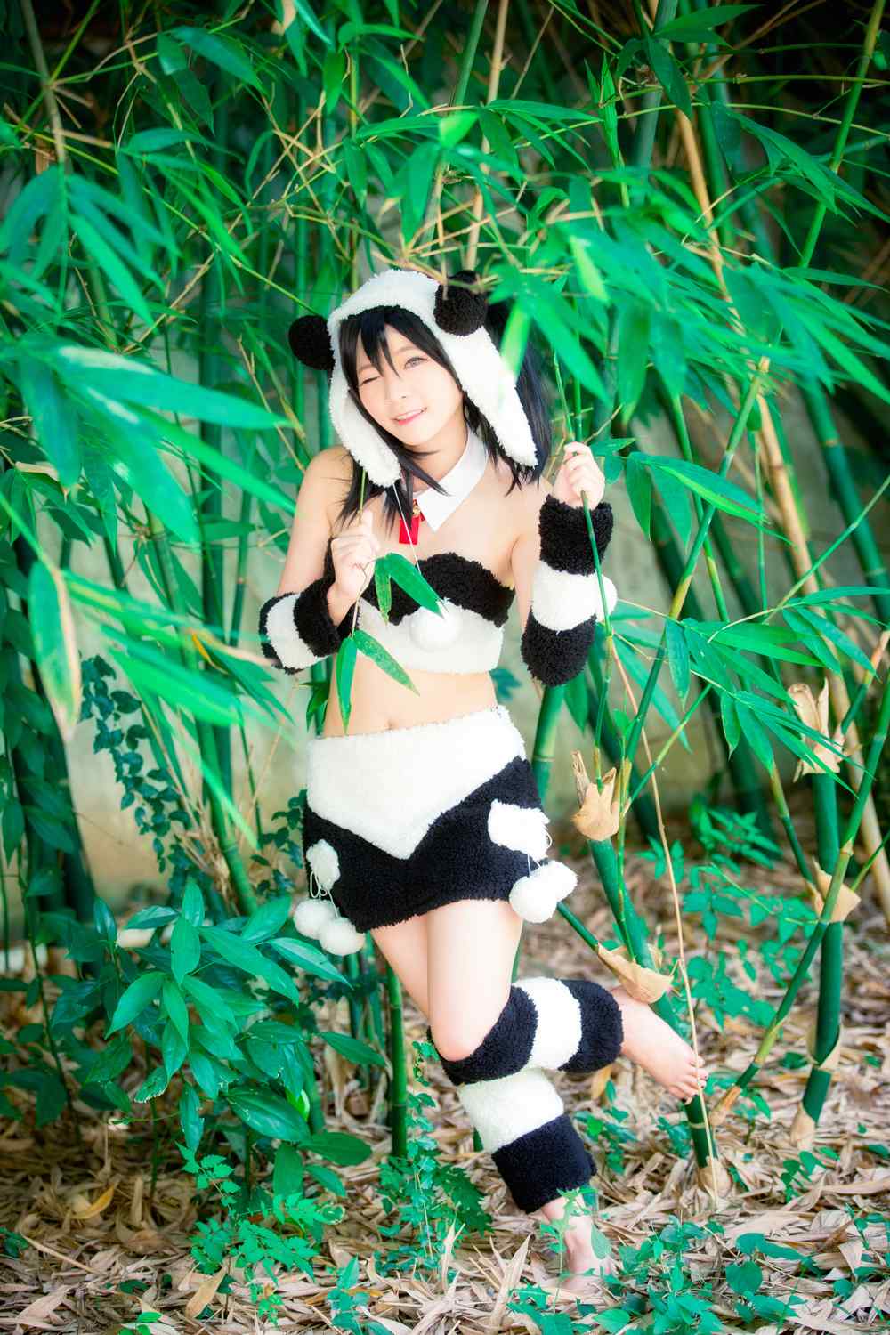 《C站·第3258期》一只野生的熊猫