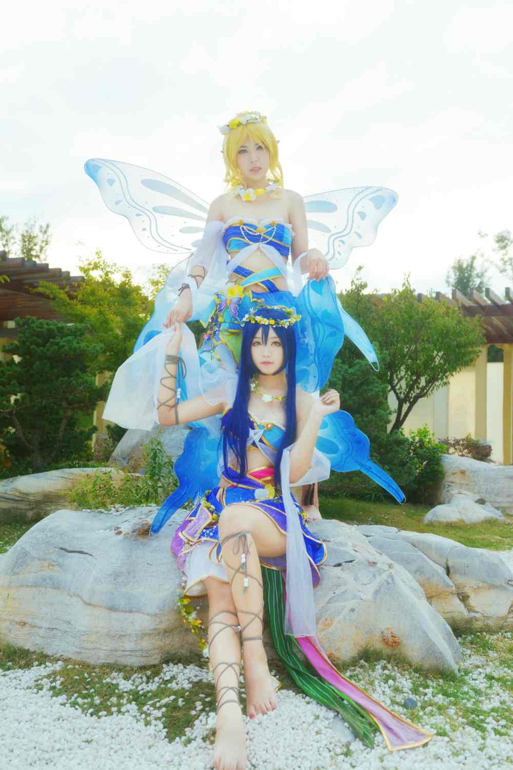 《C站·lolita·第584期》lovelive! 花妖觉醒蝴蝶仙子满天飞