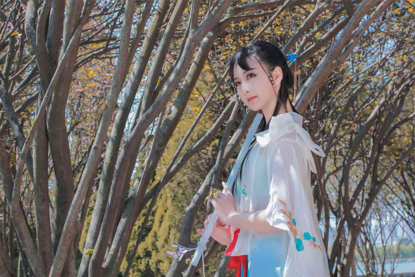 《汉服第728期》天涯明月刀&心王&醉花阴&少女