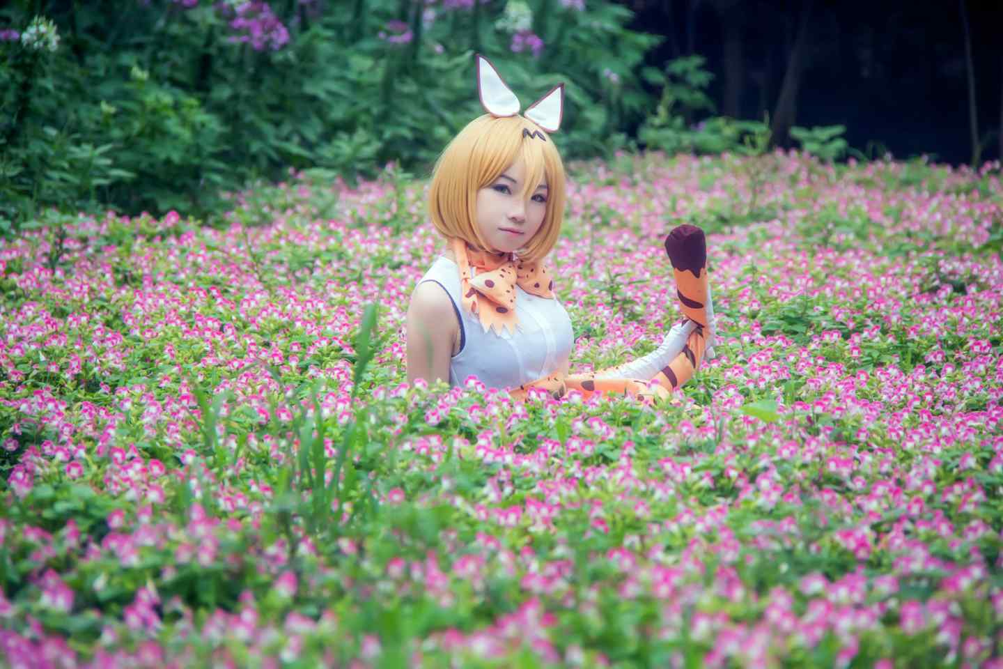 《C站·第3149期》兽娘动物园