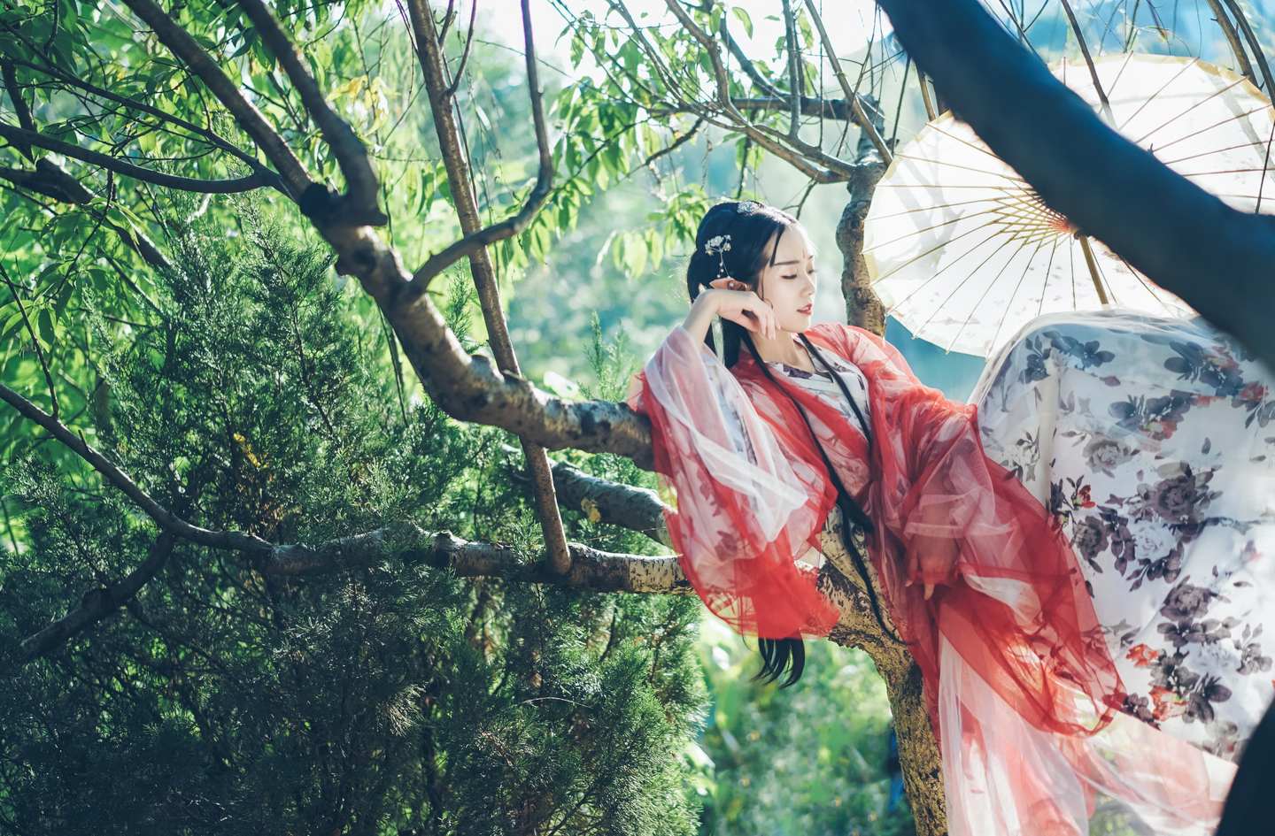 《汉服第368期》汉服私影#妖颜#