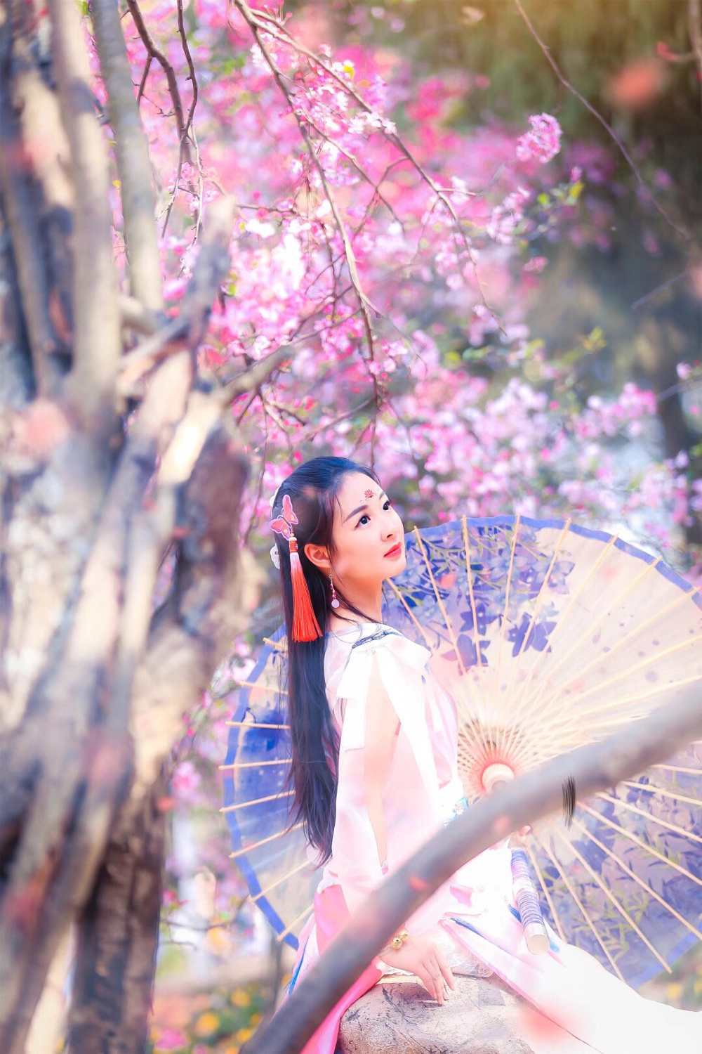 《汉服第725期》天涯明月刀&天香