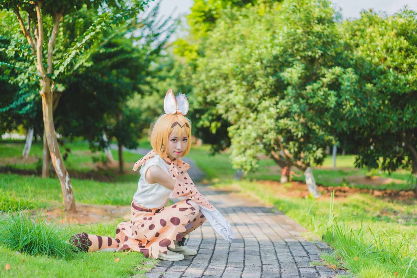 《C站·第3150期》兽娘动物园薮猫