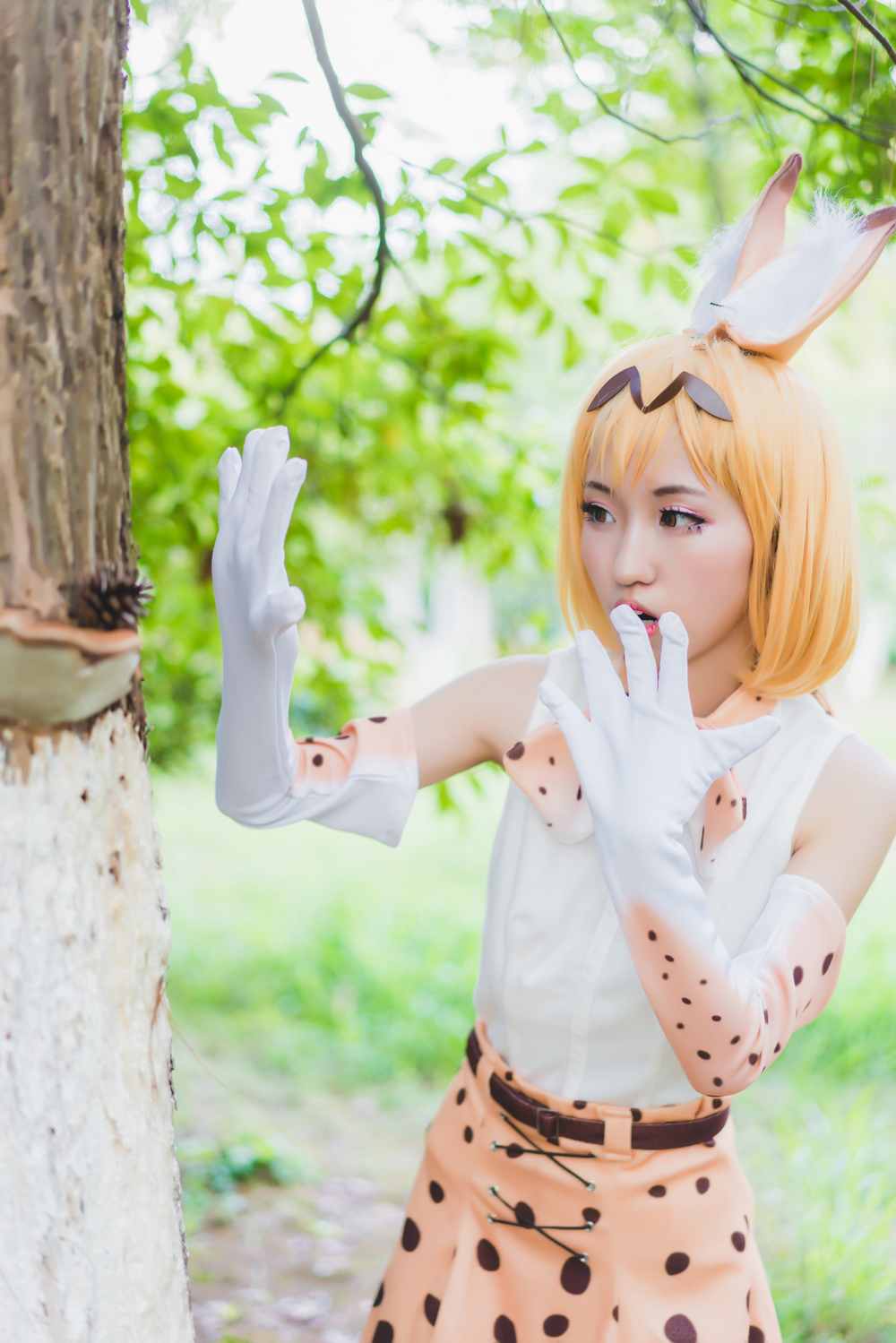 《C站·第3150期》兽娘动物园薮猫