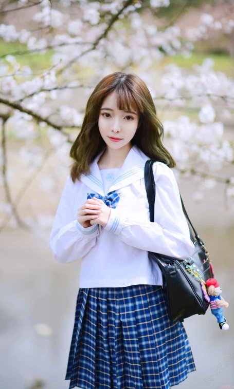 《C站·JK·第438期》JK少女之樱花树下