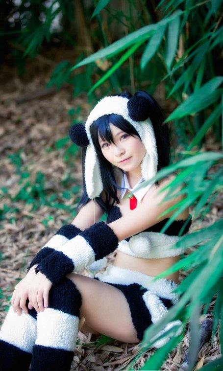 《C站·第3258期》一只野生的熊猫