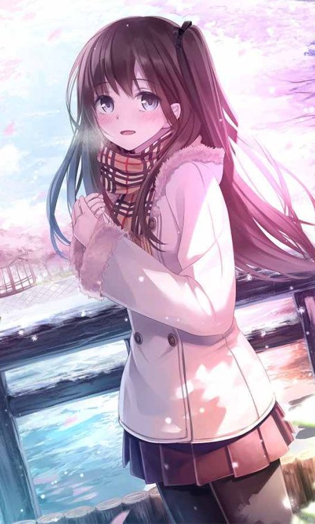 第527期-C站投稿画师手绘插画作品