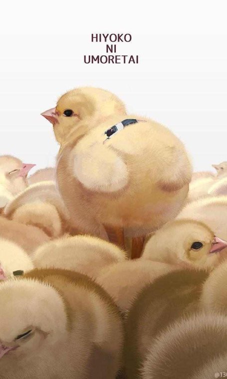 第464期-C站投稿画师手绘插画作品