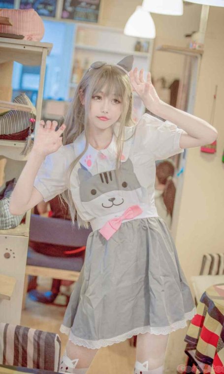 《C站·lolita·第217期》猫咪后院黑灰猫