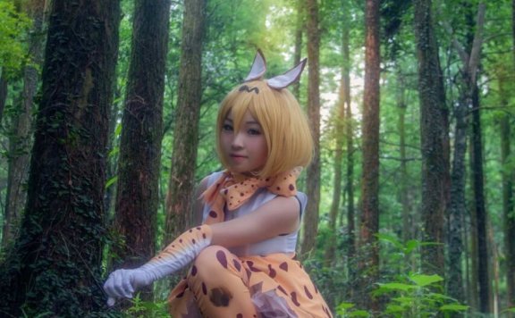 《C站·第536期》兽娘动物园