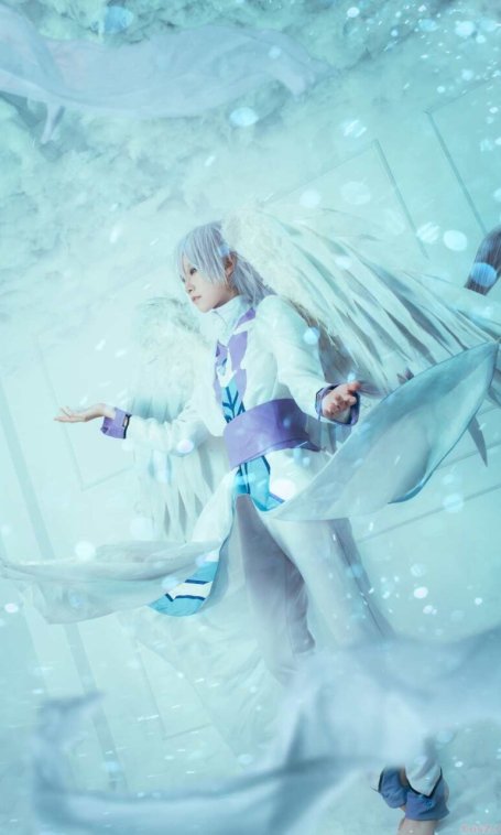 《C站·第1003期》魔卡少女樱的小哥哥