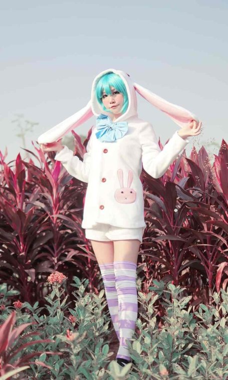 《C站·第2276期》VOCALOID初音未来