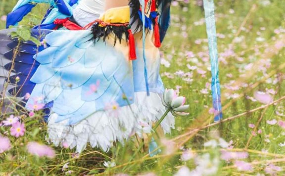 《C站·第1547期》阴阳师 花鸟卷